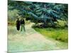 The Poet's Garden, Arles 1888-Vincent van Gogh-Mounted Giclee Print