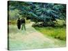 The Poet's Garden, Arles 1888-Vincent van Gogh-Stretched Canvas