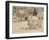 The Poet's Garden-Vincent van Gogh-Framed Giclee Print