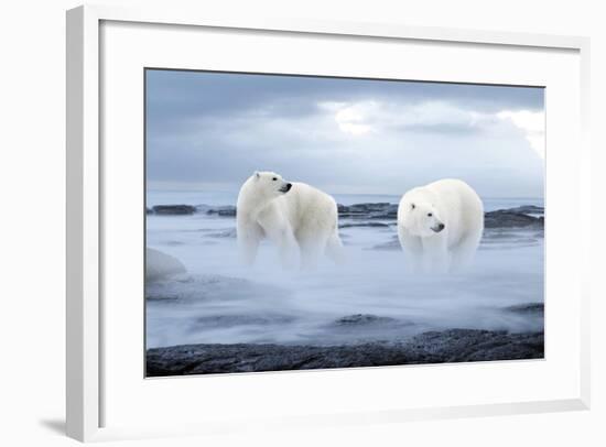 The Polar Bear-Ata Alishahi-Framed Giclee Print