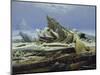 The Polar Sea (The Failed Hope), about 1823/24-Caspar David Friedrich-Mounted Giclee Print