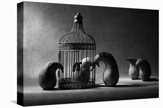 The Political Prisoner-Victoria Ivanova-Stretched Canvas