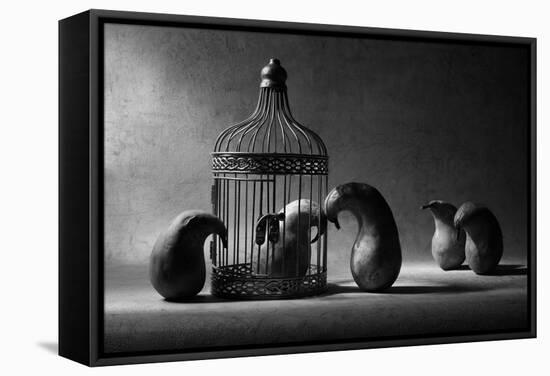 The Political Prisoner-Victoria Ivanova-Framed Stretched Canvas