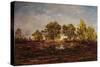 The Pond at Dagneau (Dagan) 1858-60-Pierre Etienne Theodore Rousseau-Stretched Canvas