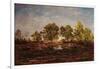 The Pond at Dagneau (Dagan) 1858-60-Pierre Etienne Theodore Rousseau-Framed Giclee Print