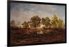 The Pond at Dagneau (Dagan) 1858-60-Pierre Etienne Theodore Rousseau-Framed Giclee Print