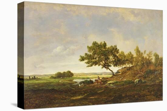 The Pond at the Foot of the Hill, C.1848-55-Theodore Rousseau-Stretched Canvas