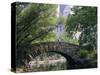 The Pond, Central Park, New York, USA-I Vanderharst-Stretched Canvas