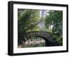 The Pond, Central Park, New York, USA-I Vanderharst-Framed Premium Photographic Print