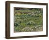 The Pond Garden, Hampton Court-Henri Eugene Augustin Le Sidaner-Framed Giclee Print