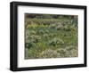 The Pond Garden, Hampton Court-Henri Eugene Augustin Le Sidaner-Framed Giclee Print