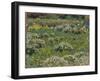 The Pond Garden, Hampton Court-Henri Eugene Augustin Le Sidaner-Framed Giclee Print