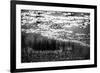 The Pond in Black and White-Ursula Abresch-Framed Photographic Print