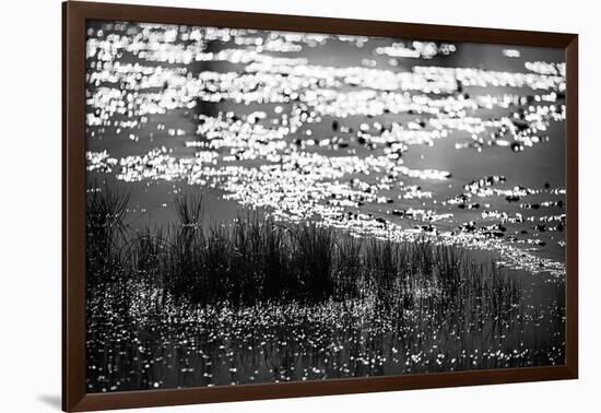 The Pond in Black and White-Ursula Abresch-Framed Photographic Print