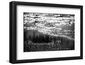 The Pond in Black and White-Ursula Abresch-Framed Photographic Print