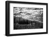 The Pond in Black and White-Ursula Abresch-Framed Photographic Print