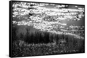 The Pond in Black and White-Ursula Abresch-Framed Stretched Canvas