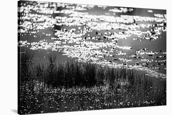 The Pond in Black and White-Ursula Abresch-Stretched Canvas