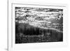 The Pond in Black and White-Ursula Abresch-Framed Photographic Print