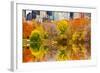 The Pond in Central Park, Manhattan, New York City-Sabine Jacobs-Framed Photographic Print