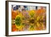 The Pond in Central Park, Manhattan, New York City-Sabine Jacobs-Framed Photographic Print