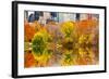 The Pond in Central Park, Manhattan, New York City-Sabine Jacobs-Framed Photographic Print