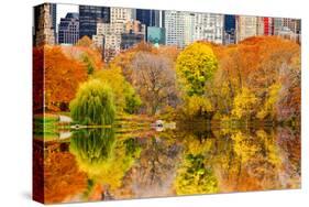 The Pond in Central Park, Manhattan, New York City-Sabine Jacobs-Stretched Canvas