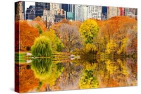 The Pond in Central Park, Manhattan, New York City-Sabine Jacobs-Stretched Canvas