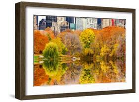 The Pond in Central Park, Manhattan, New York City-Sabine Jacobs-Framed Photographic Print