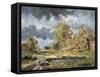 The Pond, Mid-19th Century-Narcisse Virgile Diaz de la Pena-Framed Stretched Canvas