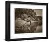 The Pond-Barry Hart-Framed Giclee Print