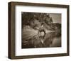 The Pond-Barry Hart-Framed Giclee Print