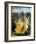 The Pond-Alice Kent Stoddard-Framed Giclee Print