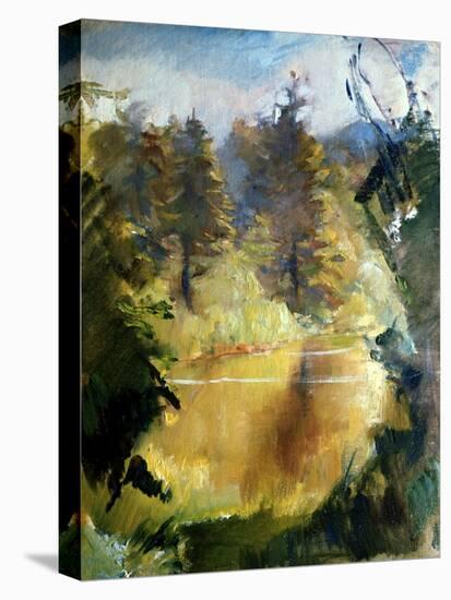 The Pond-Alice Kent Stoddard-Stretched Canvas