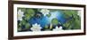 The Pond-Durwood Coffey-Framed Giclee Print