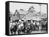 The Ponies, Coney Island, New York, N.Y.-null-Framed Stretched Canvas