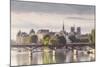 The Pont Des Arts with Ile De La Cite in the Background, Paris, France, Europe-Julian Elliott-Mounted Photographic Print