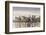 The Pont Des Arts with Ile De La Cite in the Background, Paris, France, Europe-Julian Elliott-Framed Photographic Print