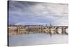 The Pont Jacques-Gabriel across the River Loire in Blois, Loir-et-Cher, Centre-Val de Loire, France-Julian Elliott-Stretched Canvas