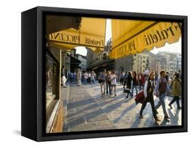 The Ponte Vecchio, Florence, Tuscany, Italy-Michael Newton-Framed Stretched Canvas