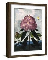 The Pontic Rhododendron-null-Framed Art Print