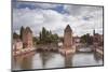 The Ponts Couverts Dating from the 13th Century-Julian Elliott-Mounted Photographic Print