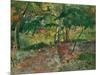 The Pool, Martinique, 1887-Paul Gauguin-Mounted Giclee Print