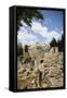 The Pool of Bethesda, the Ruins of the Byzantine Church, Jerusalem, Israel, Middle East-Yadid Levy-Framed Stretched Canvas