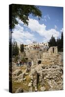 The Pool of Bethesda, the Ruins of the Byzantine Church, Jerusalem, Israel, Middle East-Yadid Levy-Stretched Canvas