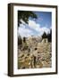 The Pool of Bethesda, the Ruins of the Byzantine Church, Jerusalem, Israel, Middle East-Yadid Levy-Framed Photographic Print