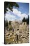 The Pool of Bethesda, the Ruins of the Byzantine Church, Jerusalem, Israel, Middle East-Yadid Levy-Stretched Canvas