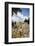 The Pool of Bethesda, the Ruins of the Byzantine Church, Jerusalem, Israel, Middle East-Yadid Levy-Framed Photographic Print