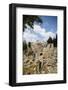 The Pool of Bethesda, the Ruins of the Byzantine Church, Jerusalem, Israel, Middle East-Yadid Levy-Framed Photographic Print