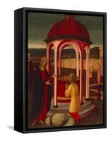 The Pool of Bethesda-Jacopo Del Sellaio-Framed Stretched Canvas